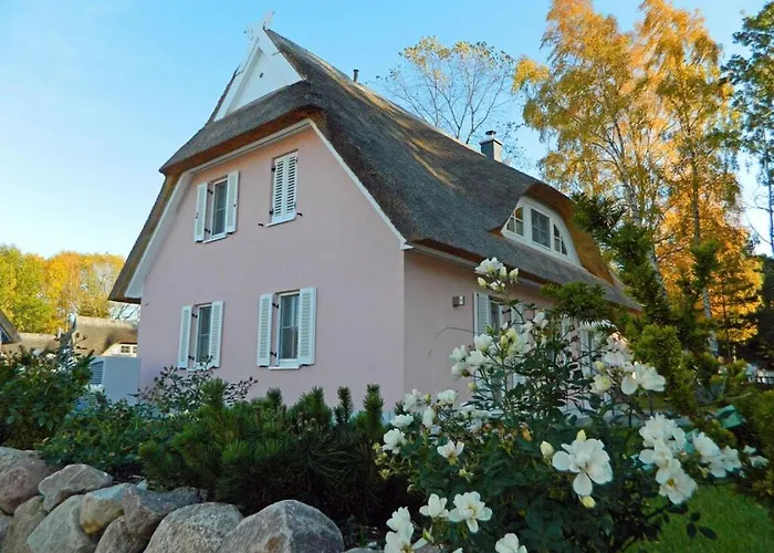 Feriehus La Vie En Rose *
